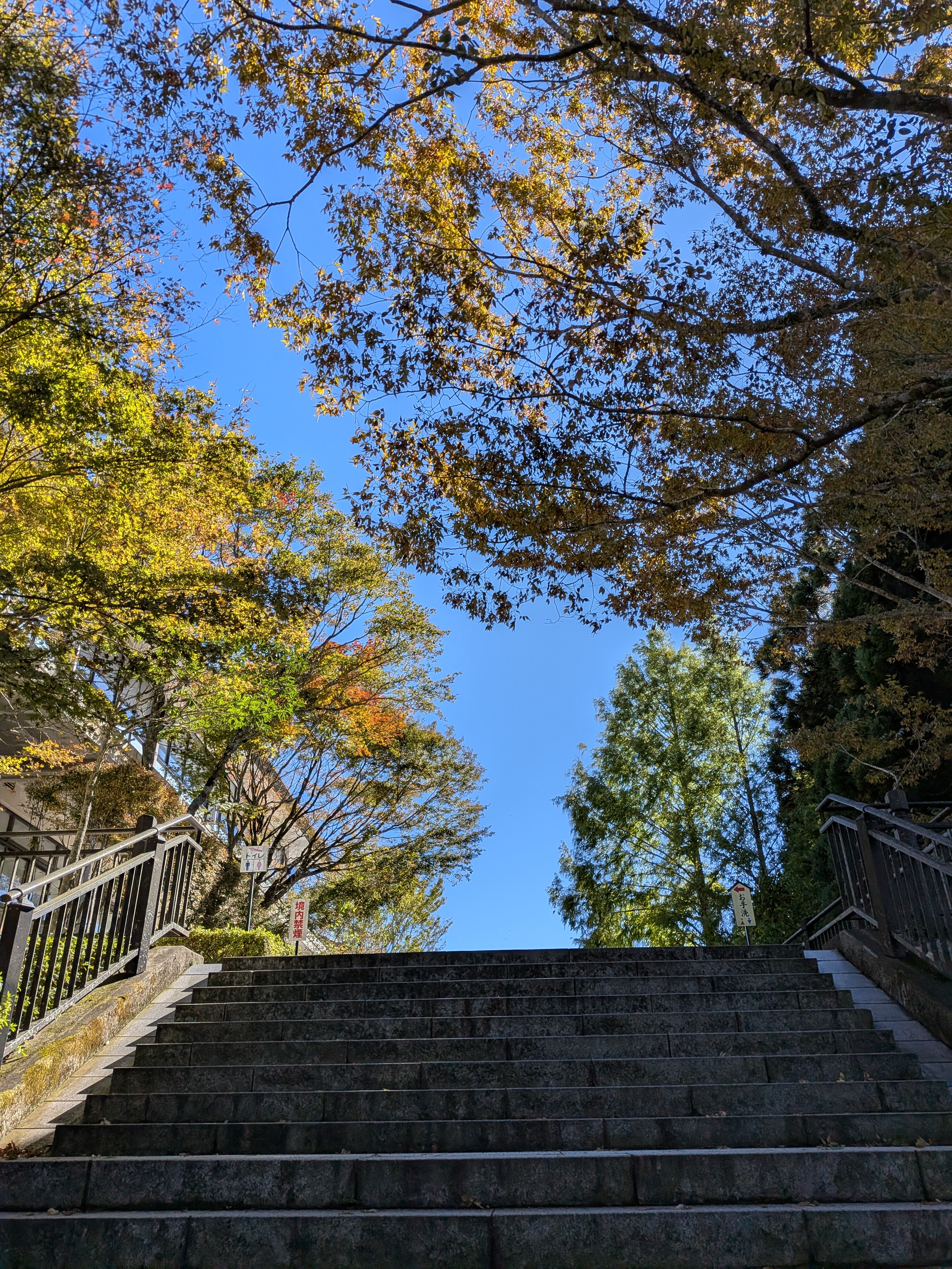 【愛知県春日井市 高蔵寺】正社員募集！！　